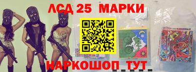 стафф Кандалакша
