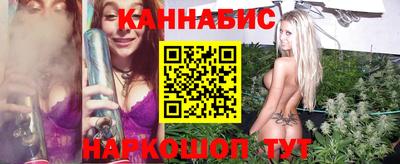 стафф Кандалакша
