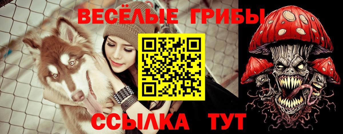 Галлюциногенные грибы мицелий Курчалой